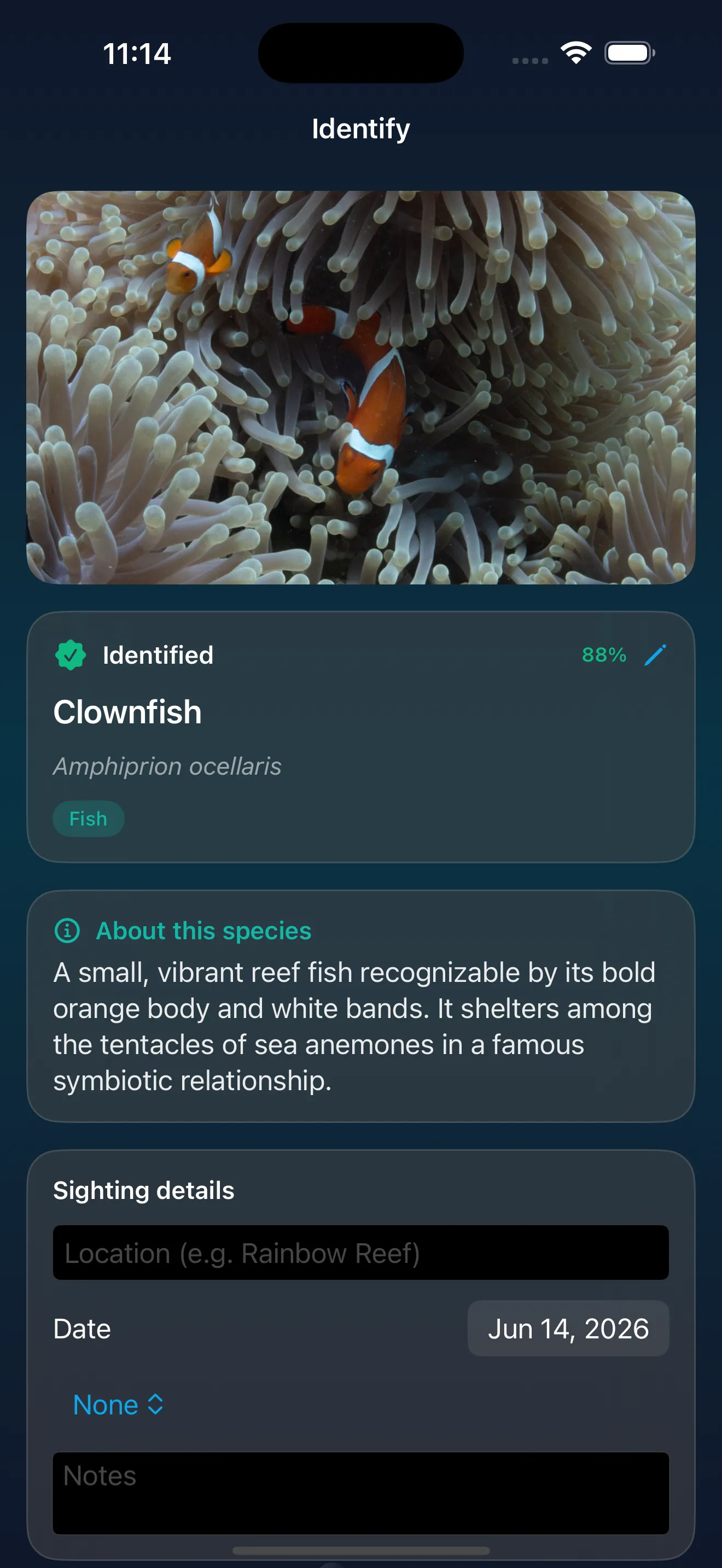AquaLog clownfish identification interface with species information and sighting details.