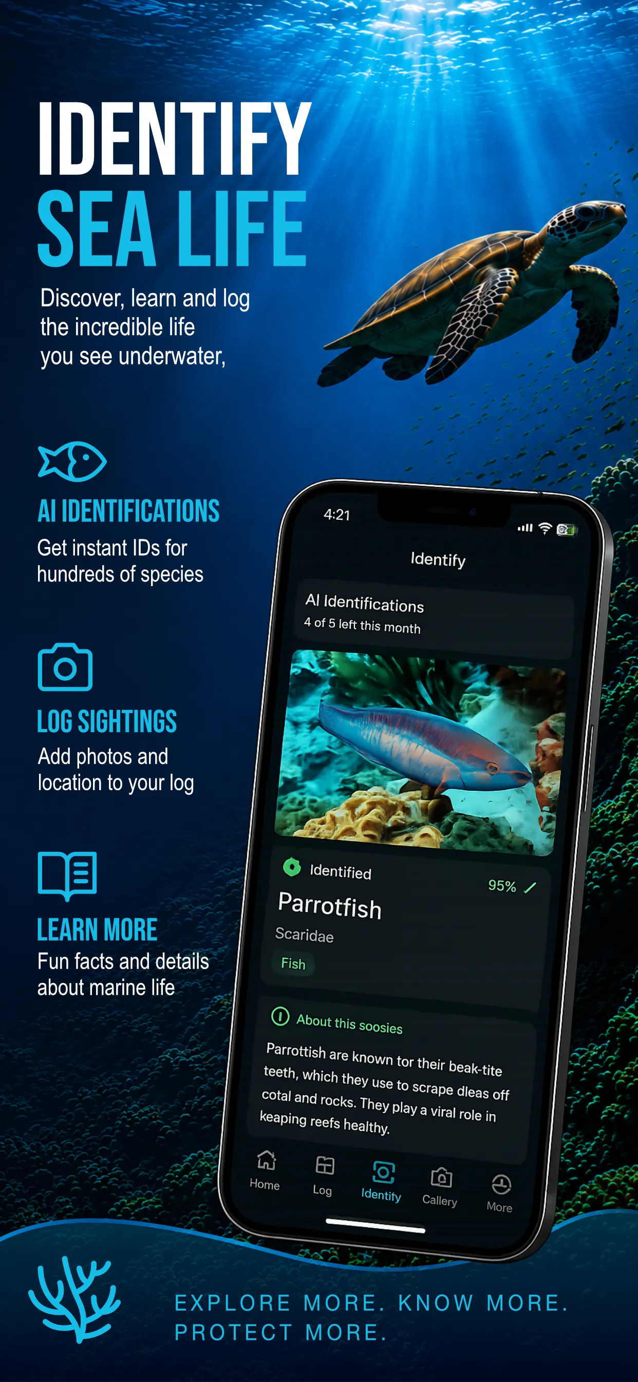 AquaLog species-identification promotional design with a sea turtle and phone mockup.