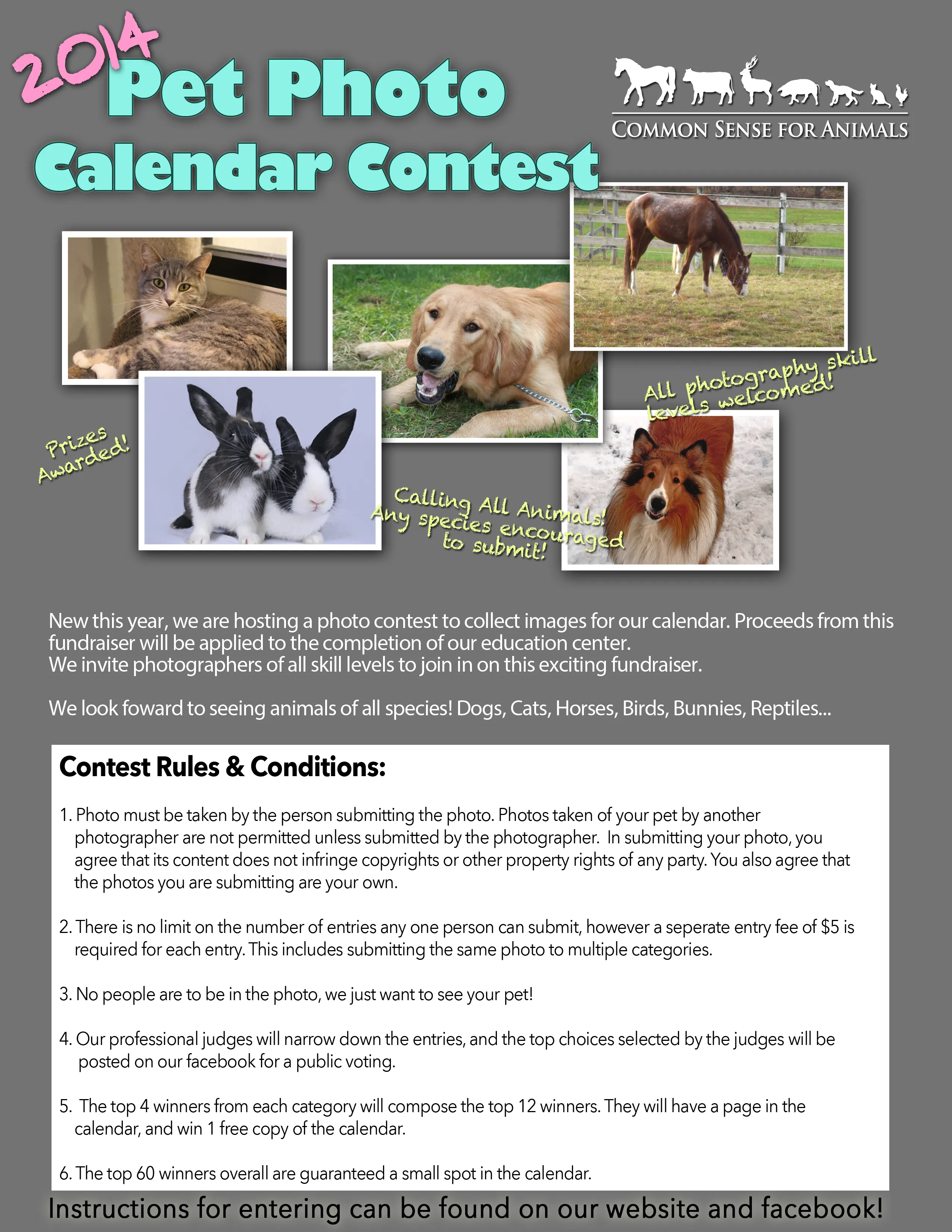 Original 2014 Pet Photo Calendar Contest flyer with animal photographs and contest rules.